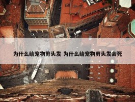 为什么给宠物剪头发 为什么给宠物剪头发会死