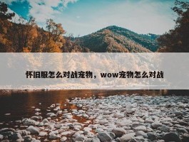 怀旧服怎么对战宠物，wow宠物怎么对战