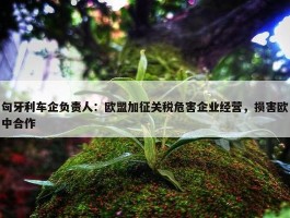 匈牙利车企负责人：欧盟加征关税危害企业经营，损害欧中合作