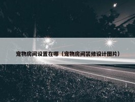 宠物房间设置在哪（宠物房间装修设计图片）