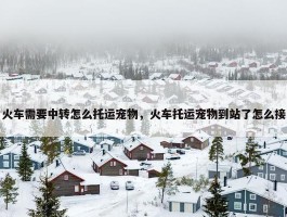 火车需要中转怎么托运宠物，火车托运宠物到站了怎么接