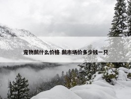 宠物鹅什么价格 鹅市场价多少钱一只