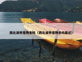 西北湖养宠物多吗（西北湖养宠物多吗最近）