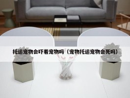 托运宠物会吓着宠物吗（宠物托运宠物会死吗）