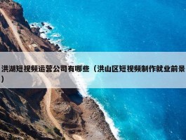 洪湖短视频运营公司有哪些（洪山区短视频制作就业前景）