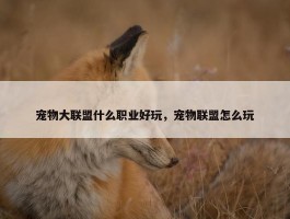 宠物大联盟什么职业好玩，宠物联盟怎么玩