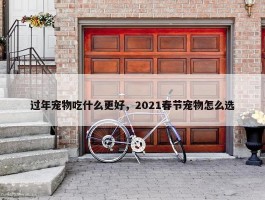 过年宠物吃什么更好，2021春节宠物怎么选