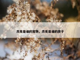 杰克是谁的宠物，杰克是谁的孩子