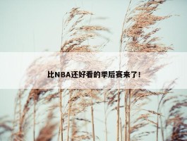 比NBA还好看的季后赛来了！