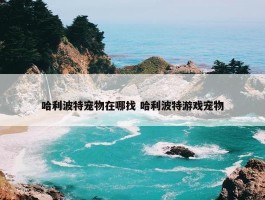 哈利波特宠物在哪找 哈利波特游戏宠物