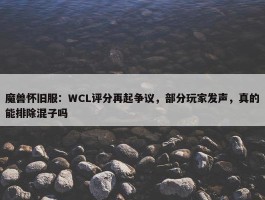 魔兽怀旧服：WCL评分再起争议，部分玩家发声，真的能排除混子吗