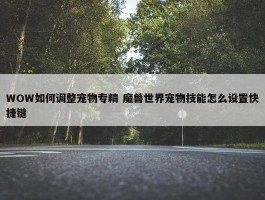 WOW如何调整宠物专精 魔兽世界宠物技能怎么设置快捷键