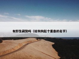 有野生藏獒吗（给狗狗起个重叠的名字）