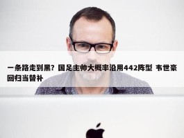 一条路走到黑？国足主帅大概率沿用442阵型 韦世豪回归当替补