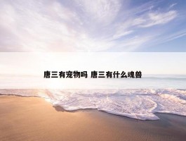 唐三有宠物吗 唐三有什么魂兽