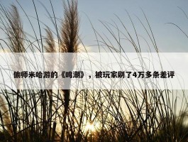 偷师米哈游的《鸣潮》，被玩家刷了4万多条差评