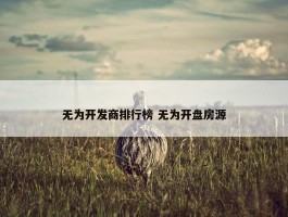 无为开发商排行榜 无为开盘房源