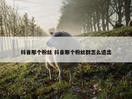 抖音那个粉丝 抖音那个粉丝群怎么退出