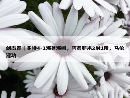 剑南春｜多特4-2海登海姆，阿德耶米2射1传，马伦建功