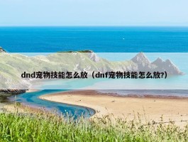 dnd宠物技能怎么放（dnf宠物技能怎么放?）