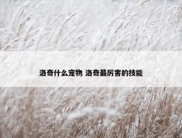 洛奇什么宠物 洛奇最厉害的技能