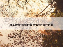 什么宠物不能同时养 什么狗不能一起养