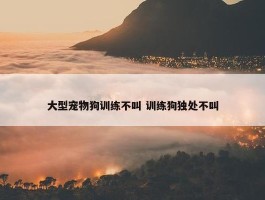 大型宠物狗训练不叫 训练狗独处不叫