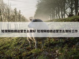 短视频拍摄运营怎么做好 短视频拍摄运营怎么做好工作