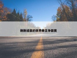 刚刚结束的世界拳王争霸赛