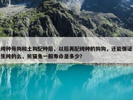 纯种母狗和土狗配种后，以后再配纯种的狗狗，还能保证生纯的么，熊猫兔一般寿命是多少？