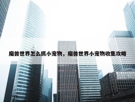 魔兽世界怎么抓小宠物，魔兽世界小宠物收集攻略