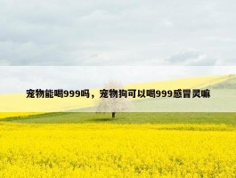 宠物能喝999吗，宠物狗可以喝999感冒灵嘛