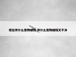 现在养什么宠物赚钱 养什么宠物赚钱又干净