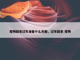 宠物回家过年准备什么衣服，过年回家 宠物