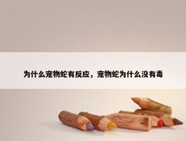 为什么宠物蛇有反应，宠物蛇为什么没有毒