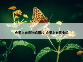 火星上有宠物吗图片 火星上有昆虫吗