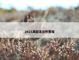 2021英超足总杯赛程