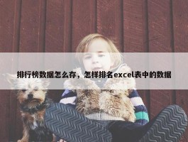 排行榜数据怎么存，怎样排名excel表中的数据