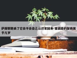 萨摩耶跑丢了它会不会自己认识家回来-蜜袋鼯的智商属于几岁