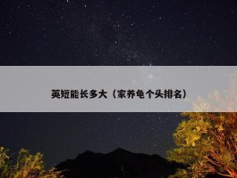 英短能长多大（家养龟个头排名）