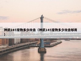 神武145宠物多少攻击（神武145宠物多少攻击够用）