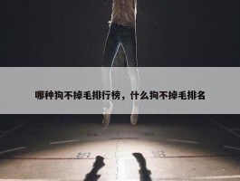 哪种狗不掉毛排行榜，什么狗不掉毛排名