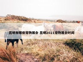 昆明有哪些宠物展会 昆明2021宠物展会时间