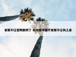 老板不让宠物撒娇了 如何看待餐厅老板不让狗上桌