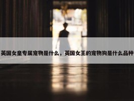 英国女皇专属宠物是什么，英国女王的宠物狗是什么品种