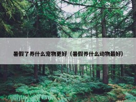 暑假了养什么宠物更好（暑假养什么动物最好）