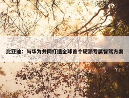 比亚迪：与华为共同打造全球首个硬派专属智驾方案