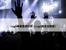 csgo哪里看排行榜（csgo排名在哪看）