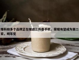 爆料称多个品牌正在推进三折叠手机，荣耀有望成为第二家，明年见