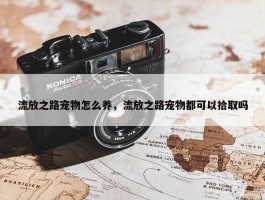 流放之路宠物怎么养，流放之路宠物都可以拾取吗